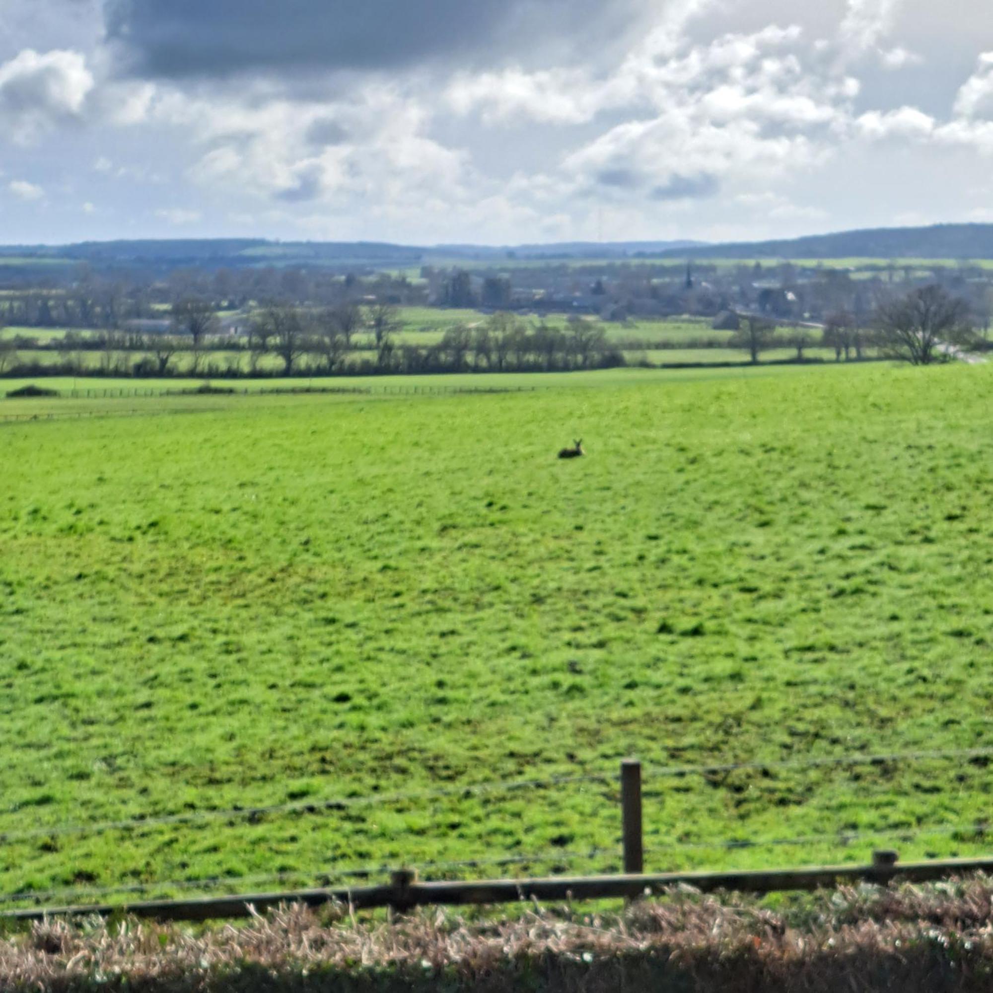 Maison De Charme En Campagne, 5 Min Du Haras Du Pin Nonant-le-Pin エクステリア 写真